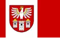 Okres Będzin – vlajka