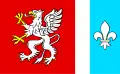 Okres Dębica – vlajka