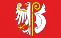 Okres Płońsk – vlajka