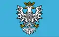 Okres Přemyšl – vlajka