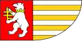 Okres Radzyń Podlaski – vlajka