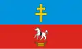 Okres Włoszczowa – vlajka
