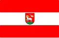 Okres Wieluń – vlajka