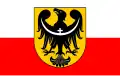 Vlajka Dolnoslezského vojvodství (2001–2008) Poměr stran: 5:8