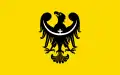 Vlajka Dolnoslezského vojvodství (2008–2009) Poměr stran: 5:8