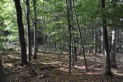 Žižkův stůl