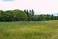 Úpolíny u Kamenice