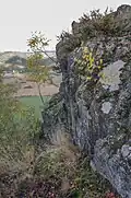 Vrcholová část