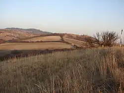 Anenský vrch (2012)