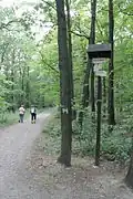 Rozcestí u vrcholu