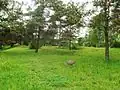 Cestiska