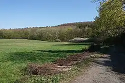 pohled ze severní části chráněného území k vrchu Chlumu