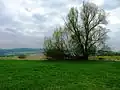Krajina Chodské Úhlavě