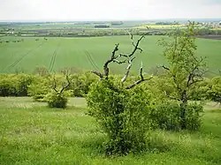 Jižní svah