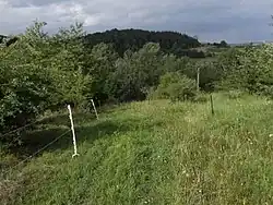 Pohled na lokalitu