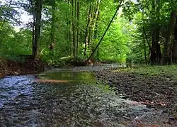 Řeka Dědina