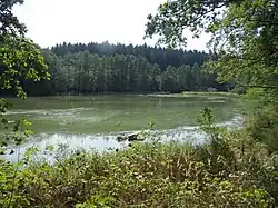 Pilský rybník