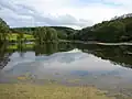 Jalový dvůr