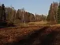 Jindřichovský mokřad v prosinci
