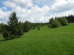 Louky pod Štípou