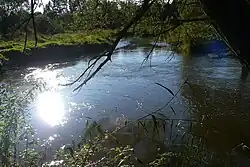 Meandry Ploučnice