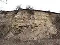 Přírodní památka Miocenní sladkovodní vápence