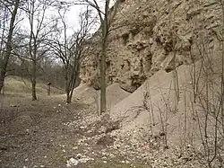 Miocenní sladkovodní vápence