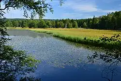 Starý rybník
