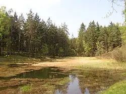 PP Noldenteich