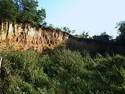 Přirozený břeh řeky Olšavy