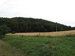 Celkový pohled
