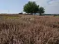 teplomilné vřesoviště v chráněném území