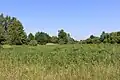 Zárybsko