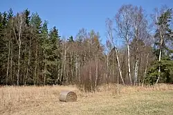 Celkový pohled