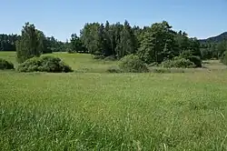 Pohled od východu