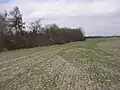 Pohled na jihovýchodní okraj PP z přilehlého pole. Okolní téměř rovná planina ostře kontrastuje se strmými svahy rokle, v něž během několika kroků přechází. Opukový charakter podloží je dobře patrný i z množství drobných kamenů na povrchu pole