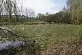 Polovypuštěný východnější z prostředních rybníků