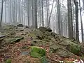 V okolí Svantovítovy skály se nachází celá řada menších skal
