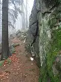 Cesta kolem Svantovítovy skály