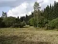 Okraj lesa