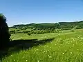 Výhled