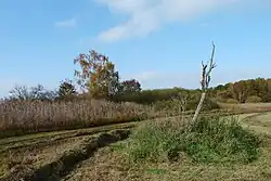 Velký Karasín