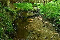 Přírodní památka Veveřský potok