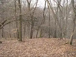 Pohled ze svahu