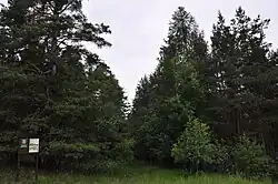Dukovanský mlýn
