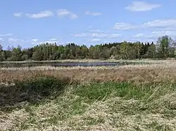 Planinský rybník v dubnu 2024