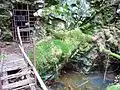 Vstup do štoly