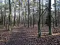 část PR Cyrilov na okraji klánovického katastru, poblíž lesního dětského hřiště U Koupaliště