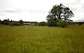 Dubno
