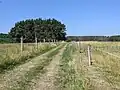 pastevní rezervace na východním okraji chráněného území